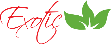 Exotic Nails Spa